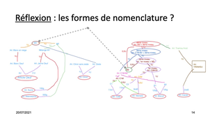 Exercice 1 : recette du tiramisu